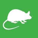 White vector graphic of a rodent on a green background. 